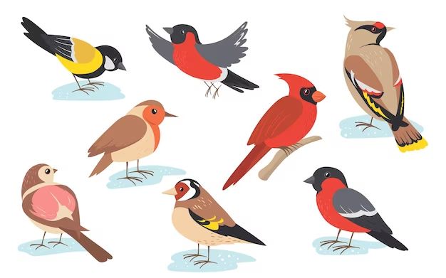 What is a piscivorous bird 6 letters crossword? Birdful