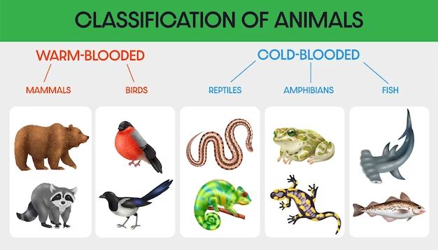 Why are only birds and mammals warm-blooded? - Birdful